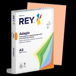 Ramette couleur vive 500 feuilles 80g A3 à la teinte - Rey - Image 3
