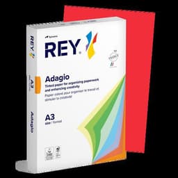 Ramette couleur vive 500 feuilles 80g A3 à la teinte - Rey - Image 4