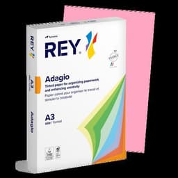 Ramette couleur vive 500 feuilles 80g A3 à la teinte - Rey - Image 2