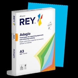 Ramette couleur vive 500 feuilles 80g A3 à la teinte - Rey - Image 6