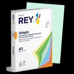 Ramette couleur vive 500 feuilles 80g A3 à la teinte - Rey - Image 9