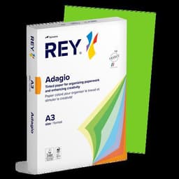 Ramette couleur vive 500 feuilles 80g A3 à la teinte - Rey - Image 7