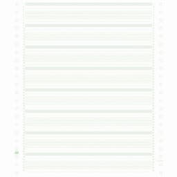 Lot de 2000 Feuilles de listing  zoné vert 1pli Bandes - Image principale