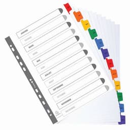 Lot de 20 Intercalaires Imprimés mensuels carte blan. 12 pos. A4-Blanc - Image 4