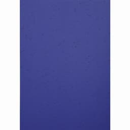 Paquet de 100 couvertures Grain cuir pour reliure A4-Bleu - Image 3