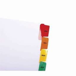 Lot de 20 Intercalaires Imprimés mensuels carte blan. 12 pos. A4-Blanc - Image 3