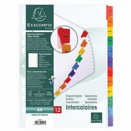 Lot de 20 Intercalaires Imprimés mensuels carte blan. 12 pos. A4-Blanc - Image 2