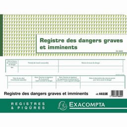 Piqûre Registre des dangers graves et imminents  20 pages - Image 5