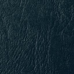 Plats de couverture GBC grain cuir LeatherGrain - Image principale