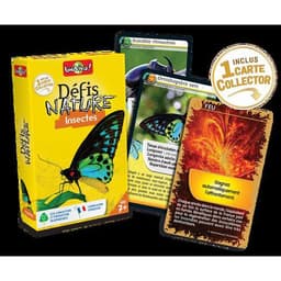Défis nature - insectes - Image 2