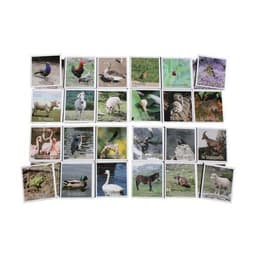 Loto animaux - Image 2