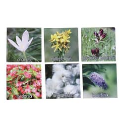 Mémo nature fleurs - Image 3