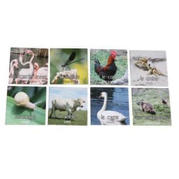 Mémo nature animaux - Image 3