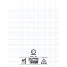 Cahier polypropylène 90g 96 pages seyes 17x22 cm - incolore - Image 3