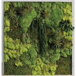 Cadre végétal n 19 - Image 2