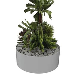 Composition SUCCULENTE 2 - Image 3