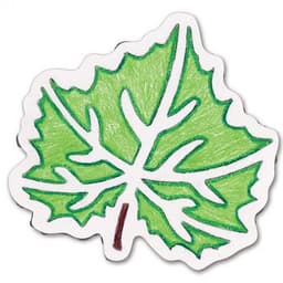 Ensemble de 12 pochoirs variétés de feuilles d'arbres 200 x 200 mm - Image 6