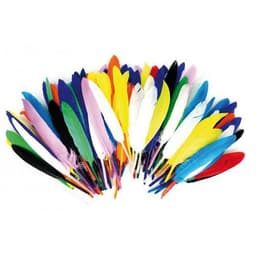 Sachet de 1000 plumes assorties - Image 3
