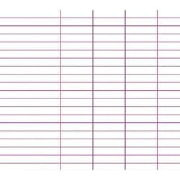 Cahier polypropylène 90g 96 pages seyes A4 - incolore - Image 2