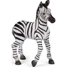 Les animaux sauvages - Image 6