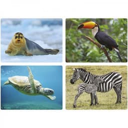 Imagier photos - Les animaux - Image 3