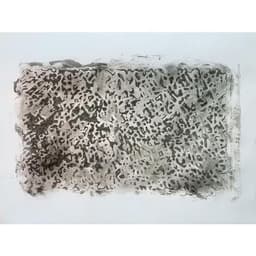 Lot de 10 plaques animaux sauvages 21.5 x 15 cm - Image 9