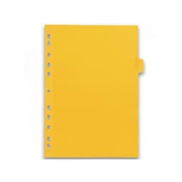 Intercalaires Neutres Color Life A4 12 Positions Carte Lustrée Epaisseur 220g Coloris Assortis - Image 3