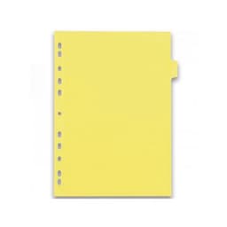 Intercalaires Neutres Color Life A4 12 Positions Carte Lustrée Epaisseur 220g Coloris Assortis - Image 2