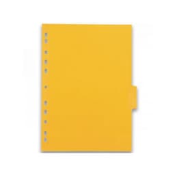 Intercalaires Neutres Color Life A4 6 Positions Carte Lustrée Epaisseur 220g Coloris Assortis - Image 2