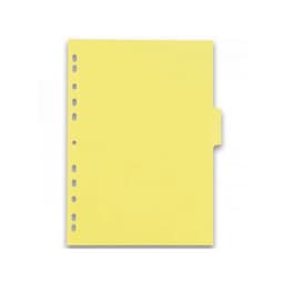 Intercalaires Neutres Color Life A4 6 Positions Carte Lustrée Epaisseur 220g Coloris Assortis - Image 3