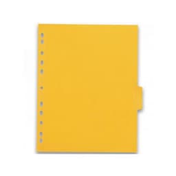 Intercalaires Neutres Color Life A4XL 6 Positions Carte Lustrée Epaisseur 220g Coloris Assortis - Image 2