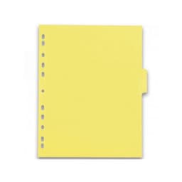 Intercalaires Neutres Color Life A4XL 6 Positions Carte Lustrée Epaisseur 220g Coloris Assortis - Image 3
