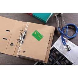 Intercalaires Neutres Touareg A4 6 Positions Carte Recyclée Epaisseur 265g Beige Naturel - Image 2