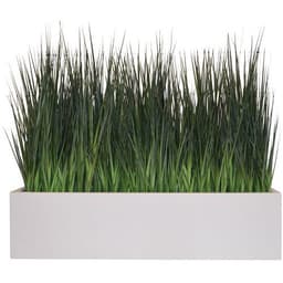 La jardinière graminée - Image principale