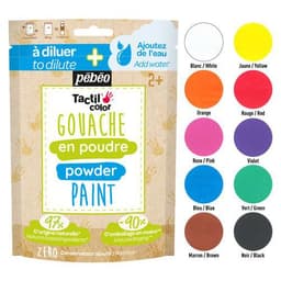 Set 10 sachets 180g gouache poudre - assorties +2 cuillères - Image principale
