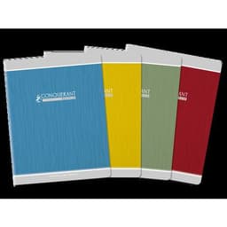 Cahier carte papier 100% recyclé 17x22 cm 90g 96 p seyes - Image principale