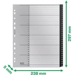 Lot de 10 Intercalaires  Re:Cycle - numérique 1 à 31 -  Leitz - Image 2