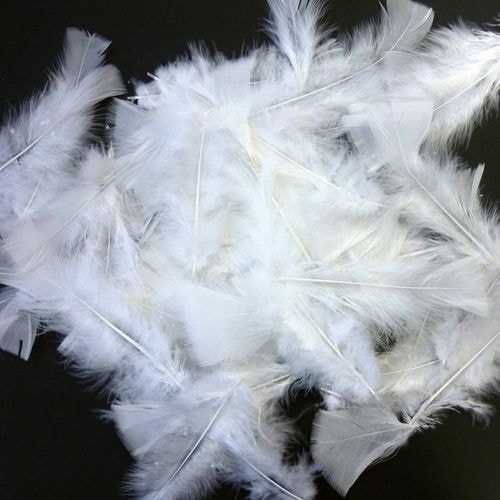 Plume blanche (Sachet de 100) - Image principale