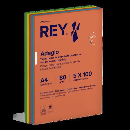 Ramette 500 feuilles A4 80g 5 teintes vives assorties - Image principale
