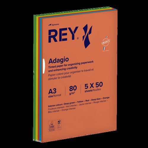 Ramette 250 feuilles A3 80g 5 teintes vives assorties - Image principale