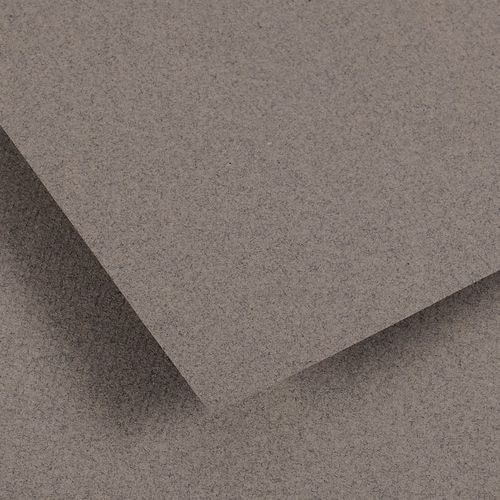 Papier dessin Canson Ingres Vidalon 100g - 50 x 65 - gris chiné - Image principale