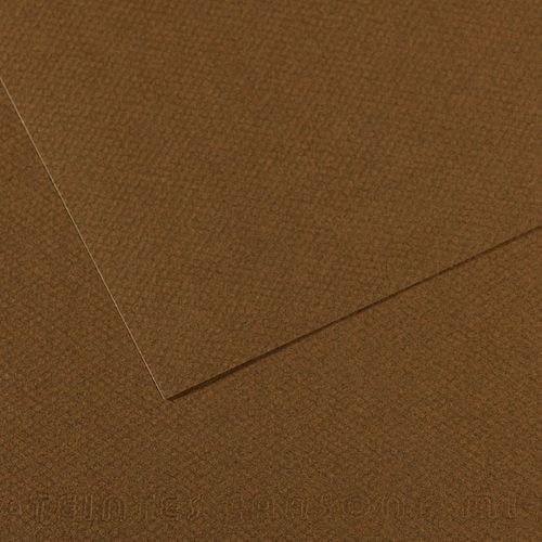 Papier dessin mi-teintes Canson 160 g - 50 x 65 - marron foncé - Image principale