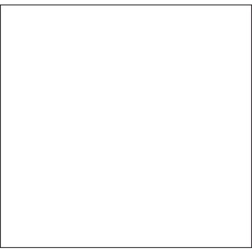 Lot de 30 Étiquette pour pince Proline XL Blanc - Image principale