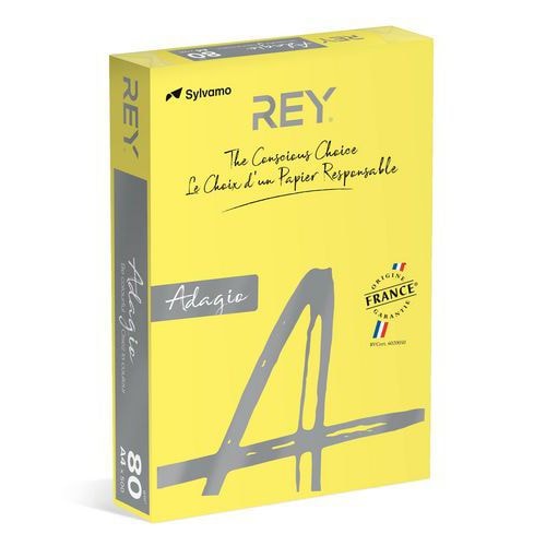 Ramette couleur vive 500 feuilles 80g A4 à la teinte - Rey - Image principale
