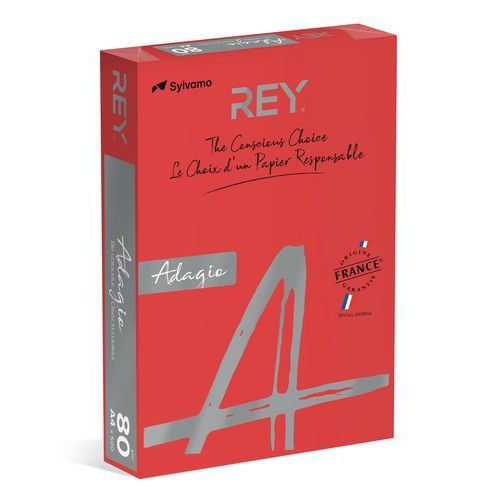 Ramette couleur vive 500 feuilles 80g A4 à la teinte - rouge - Image principale