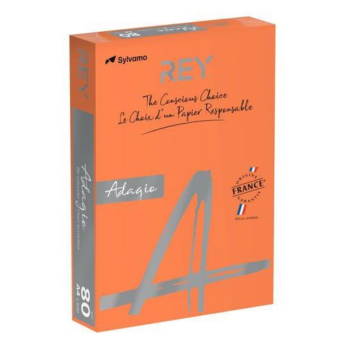 Ramette couleur vive 500 feuilles 80g A4 à la teinte - orange - Image principale
