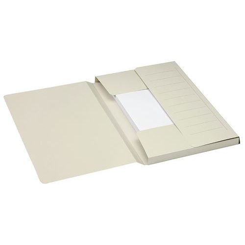 Lot de 10 dossiers mammouth Secolor Gris - Image principale