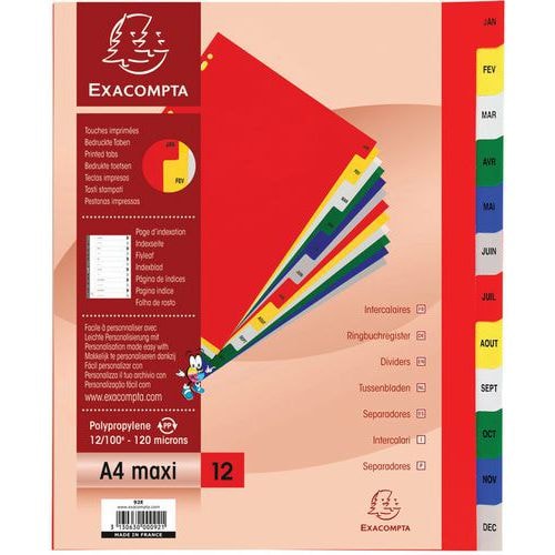 Lot de 20 Intercalaires mensuel pp couleurs 12/100e - 12 positions A4+ - Image principale