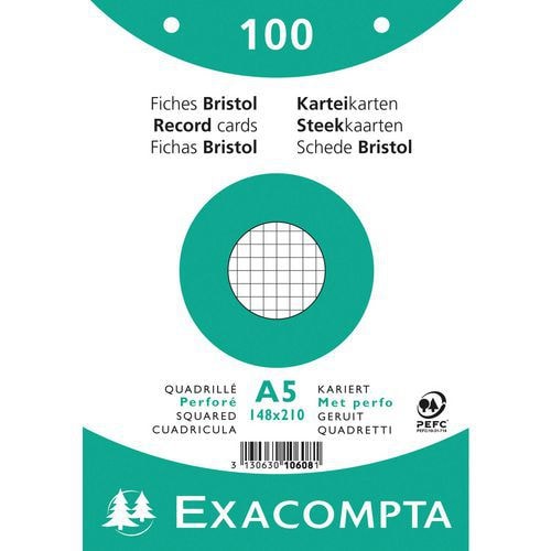 Paquet 100 fiches blanc oeilm quadoeillé perforé 148x210mm (lot de 10) - Image principale