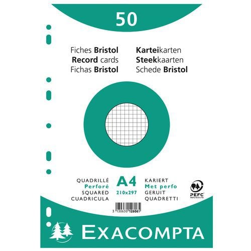 Lot de 20 Paquet 50 fiches sous film quadrillé 5x5 perforé 210x297mm - Image principale